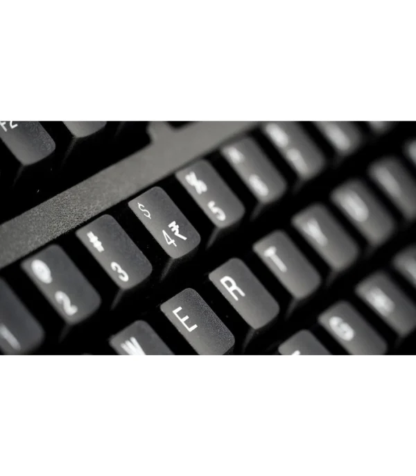 TVS ELECTRONICS USB Gold Keyboard - Image 3